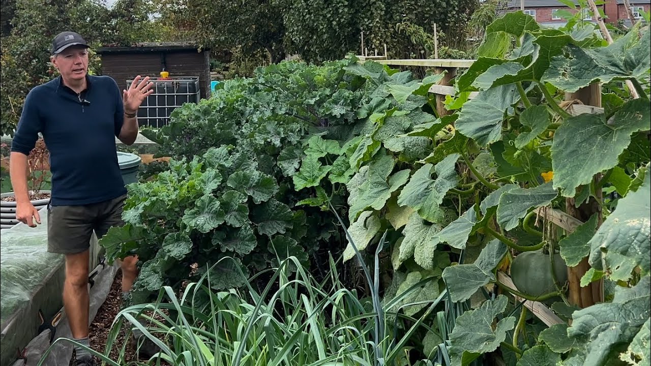 Growing winter squash vertically ~ keeps getting better
