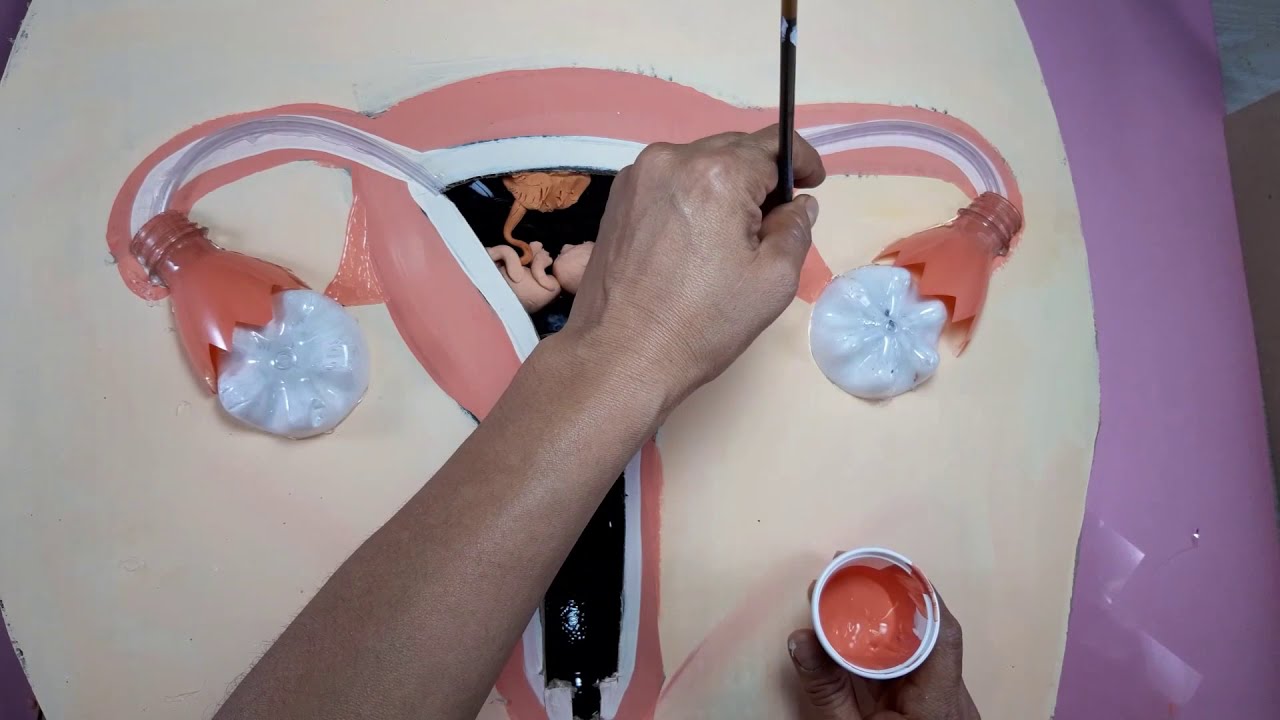 Maqueta sistema reproductor