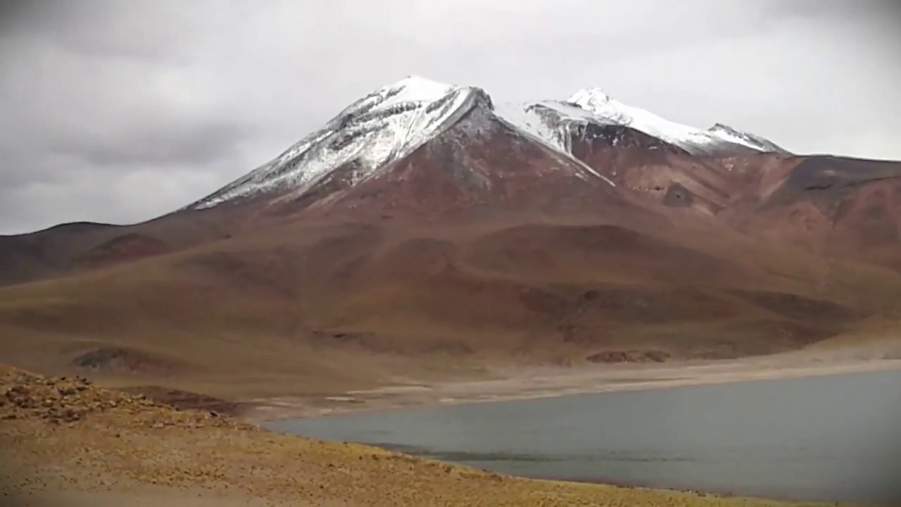 Atacama Salt Flats & Los Flamencos National Reserve Day Tour