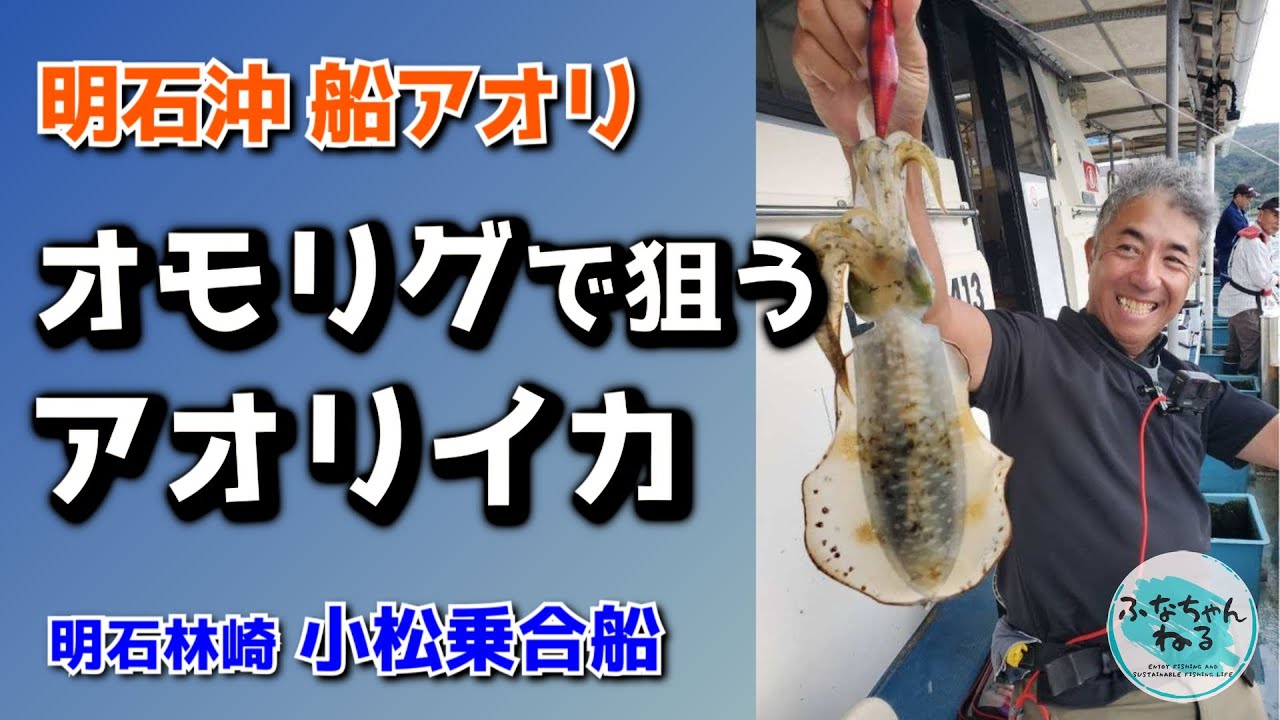 【船アオリ】明石の船アオリイカ釣行記録