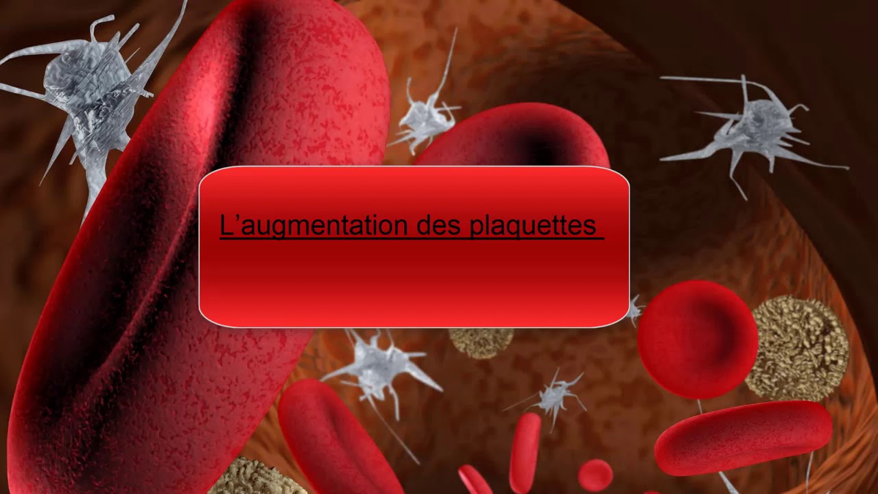 Plaquettes sanguines : trop ou pas assez, ce que &ccedil;a signifie