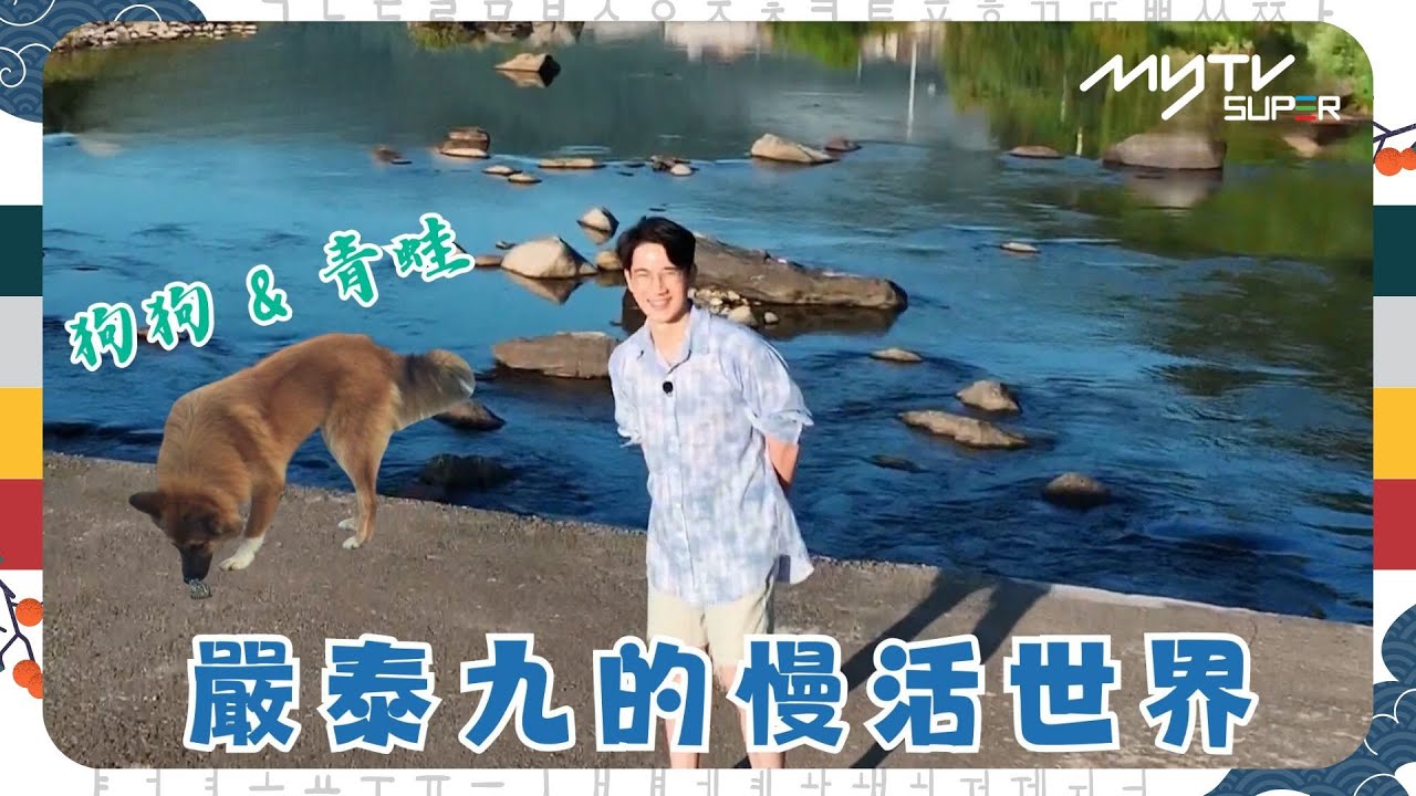 #一日三餐: Light特別篇｜嚴泰九的慢活世界｜狗狗 & 青蛙｜tvN (頻道505) ｜CJ ENM 點播區   緊貼韓國上架