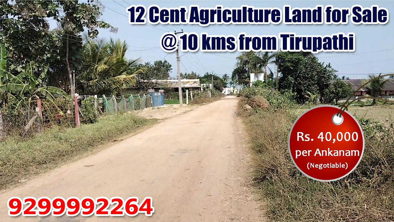 12 Cent Agriculture Land for Sale @ 10 km from Tirupathi #tirupatirealestate #property #agriculture