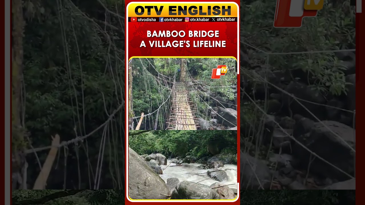 8 Years After Floods, Kerala Village Still Waits for a Permanent Bridge | OTV