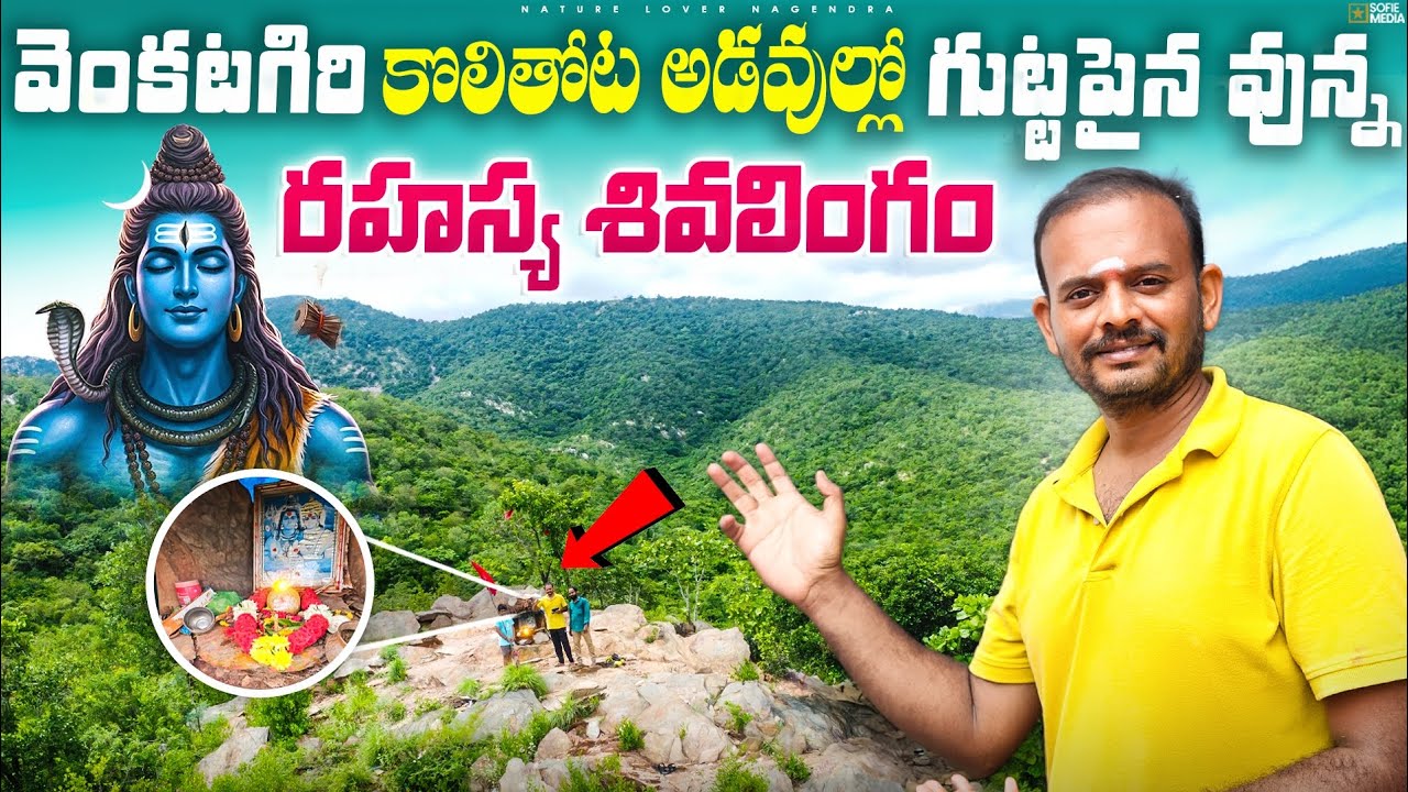 వెంకటగిరి అడవుల్లో ఎవరికీ తెలియని పురాతన శివలింగం కొలితోట దగ్గర అమ్ముడూరుగ్రామం Nagendra venkatagiri