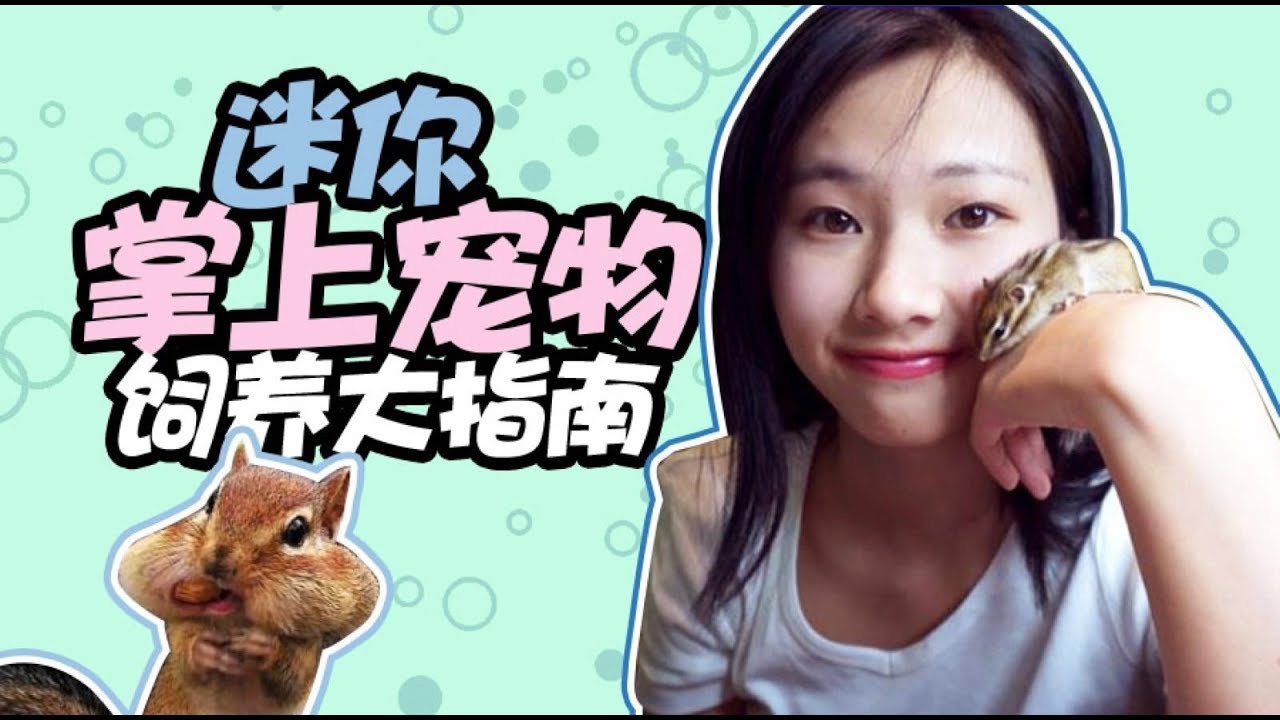 一种可以养在口袋，抓在手心的掌上迷你宠物！每月花费只要20元！