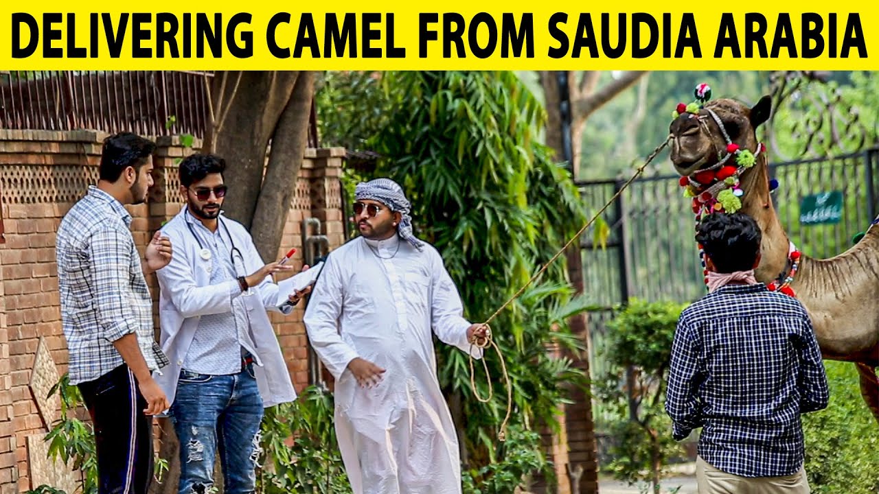 Delivering Camel Straight From Saudia Arabia in 2000K$ - Lahori PrankStar