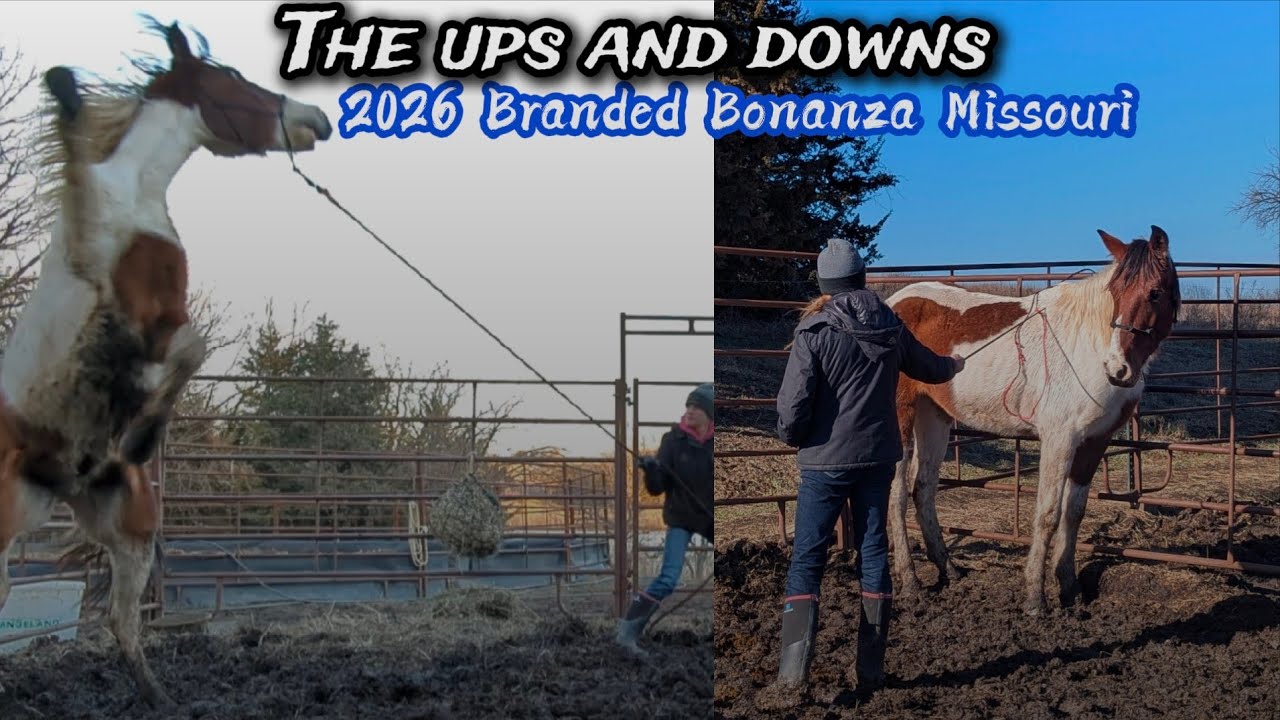 Ups and downs • Day 3 & 4 • 2026 Branded Bonanza 