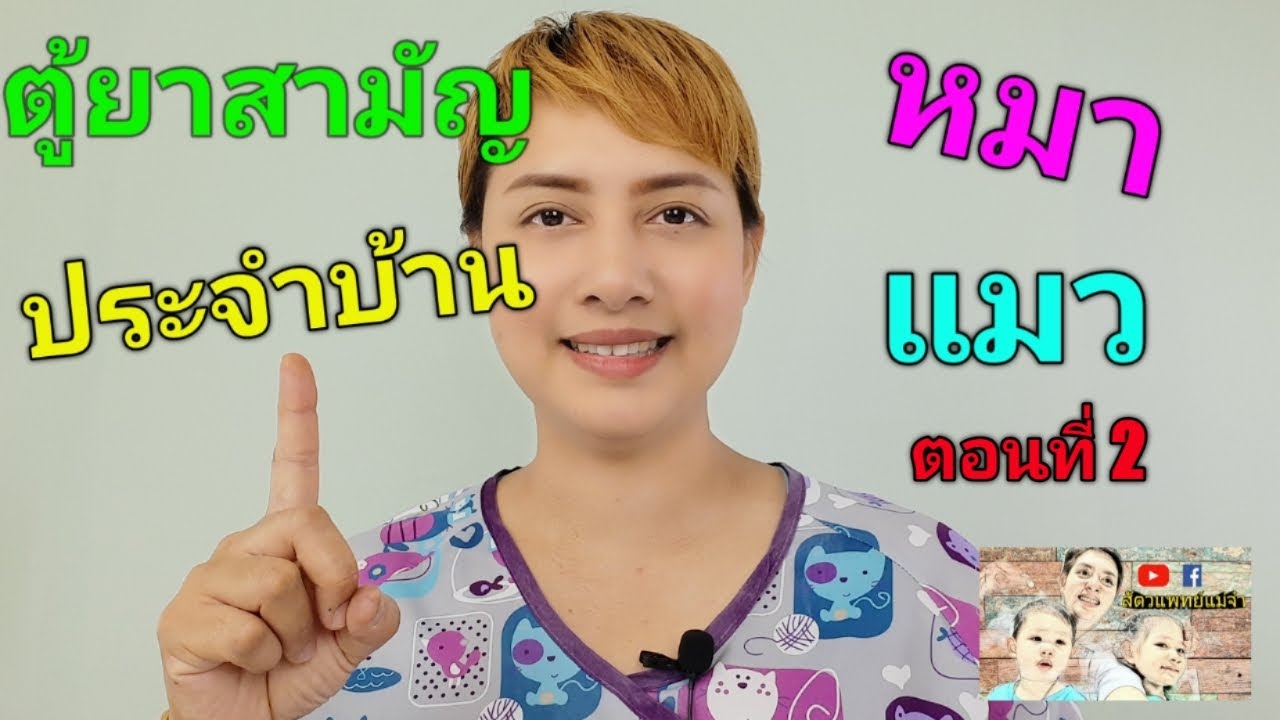 ตู้ยาสามัญประจำบ้านหมาแมวตอนที่ 2 #สัตวแพทย์แม่จ๋า