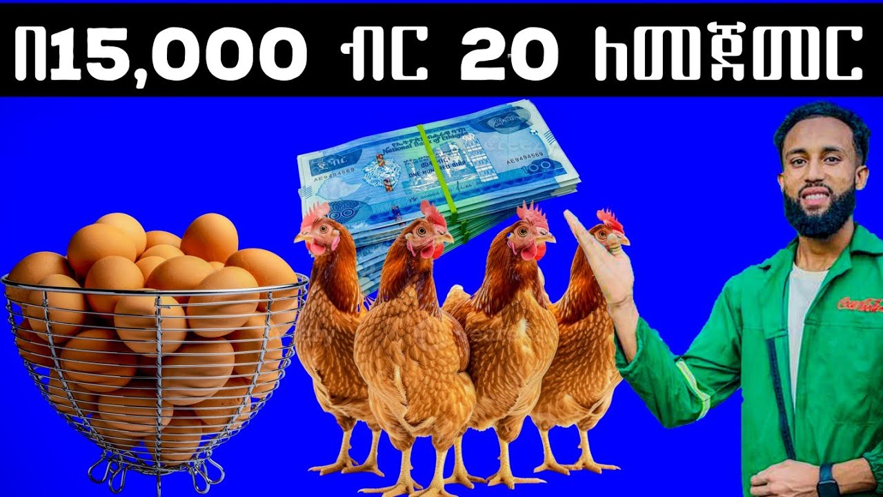በ20 ዶሮ ለመጀመር 15,000 ብር ብቻ
