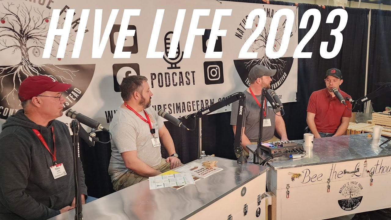 Hive Life 2023 | My One Day ! !
