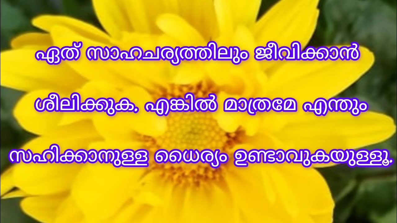 Little world  is live എല്ലാരും ഫുഡ്‌ കഴിച്ചോ 🤔