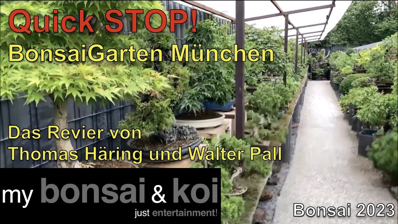 Bonsai 2023-41 - QUICK STOP! - Bonsai Garten München - Das Revier von Thomas Häring und Walter Pall