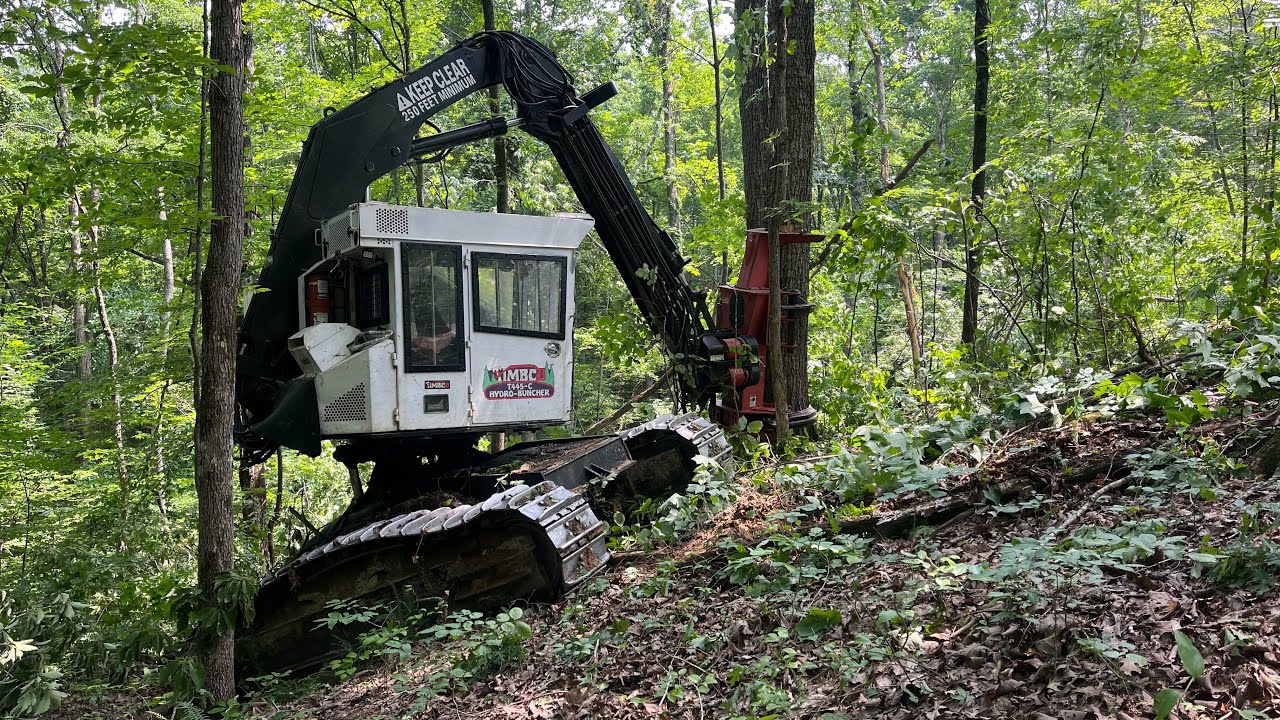 Timbco 445C Feller Buncher with Timberpro TDS-32 head cutting and topping hardwood!! 