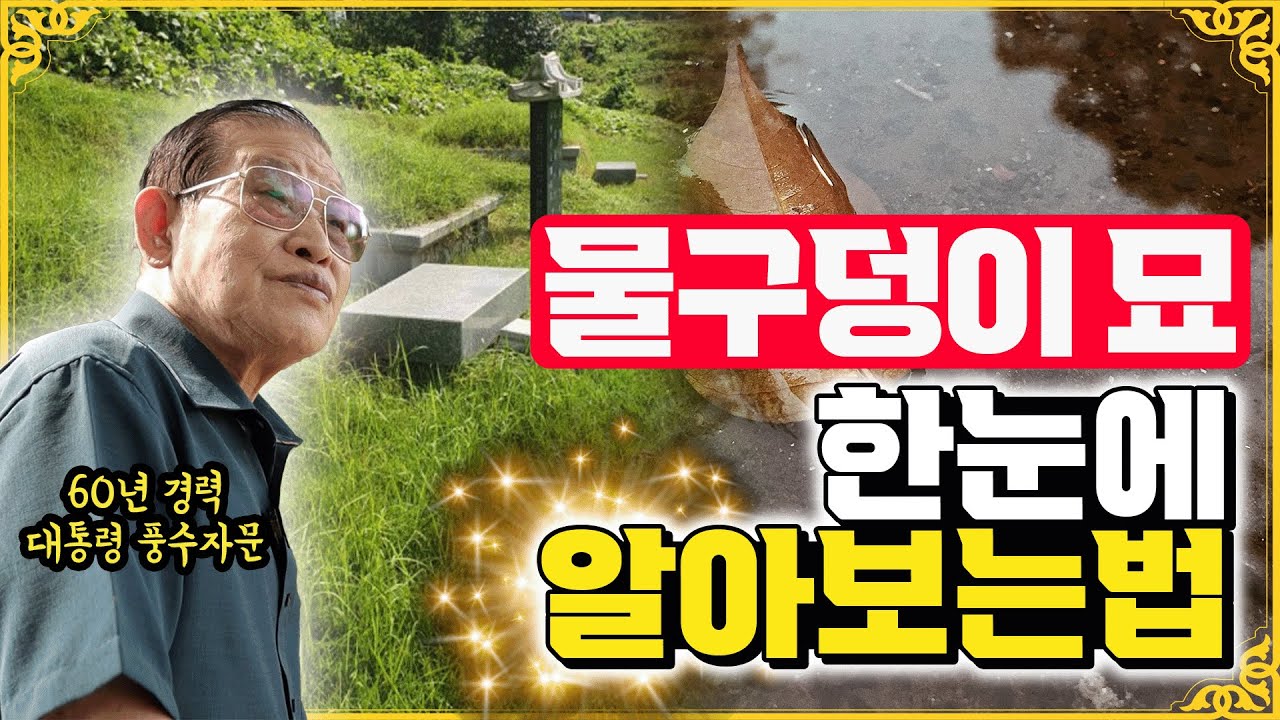 E184. 물구덩이 묘🪦에서 얼른 꺼내드려야 합니다 / 물구덩이 묘 한 눈에 알아보는 법🔍
