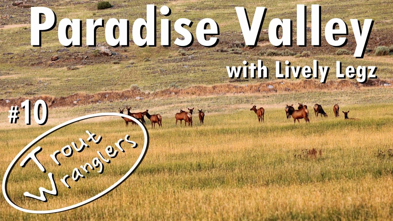 Paradise Valley Montana Fly Fishing with Lively Legs Walts | Trout Wranglers   Episode 10