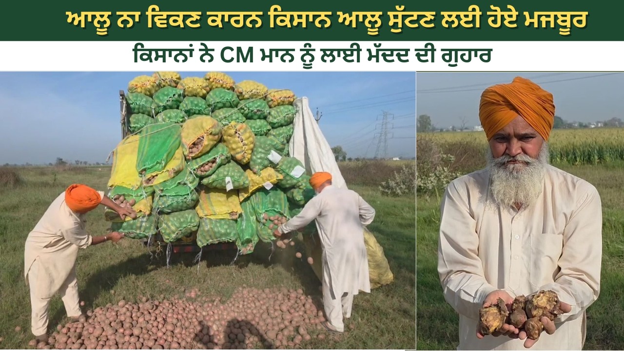 ਆਲੂ ਨਾ ਵਿਕਣ ਕਾਰਨ ਕਿਸਾਨ ਆਲੂ ਸੁੱਟਣ ਲਈ ਹੋਏ ਮਜਬੂਰ ਕਿਸਾਨਾਂ ਨੇ CM ਮਾਨ ਨੂੰ ਲਾਈ ਮੱਦਦ  ਦੀ ਗੁਹਾਰ