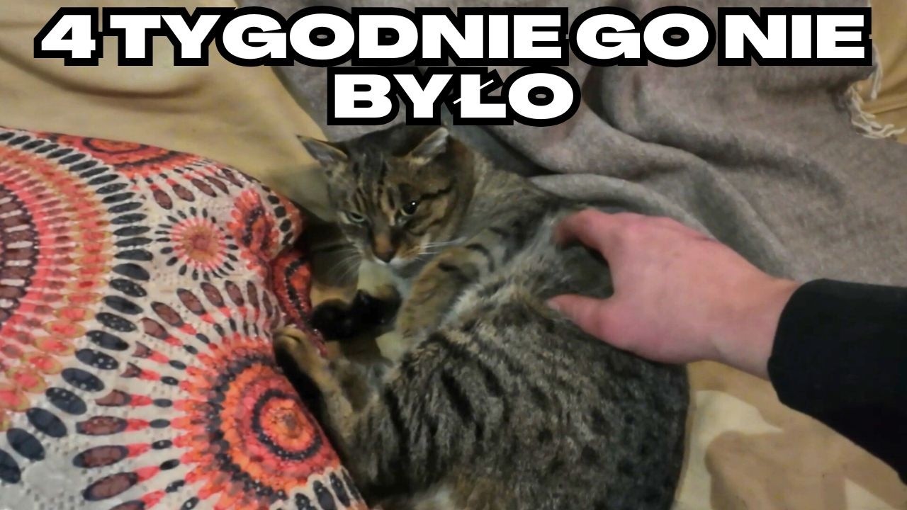 Żbik wrócił!