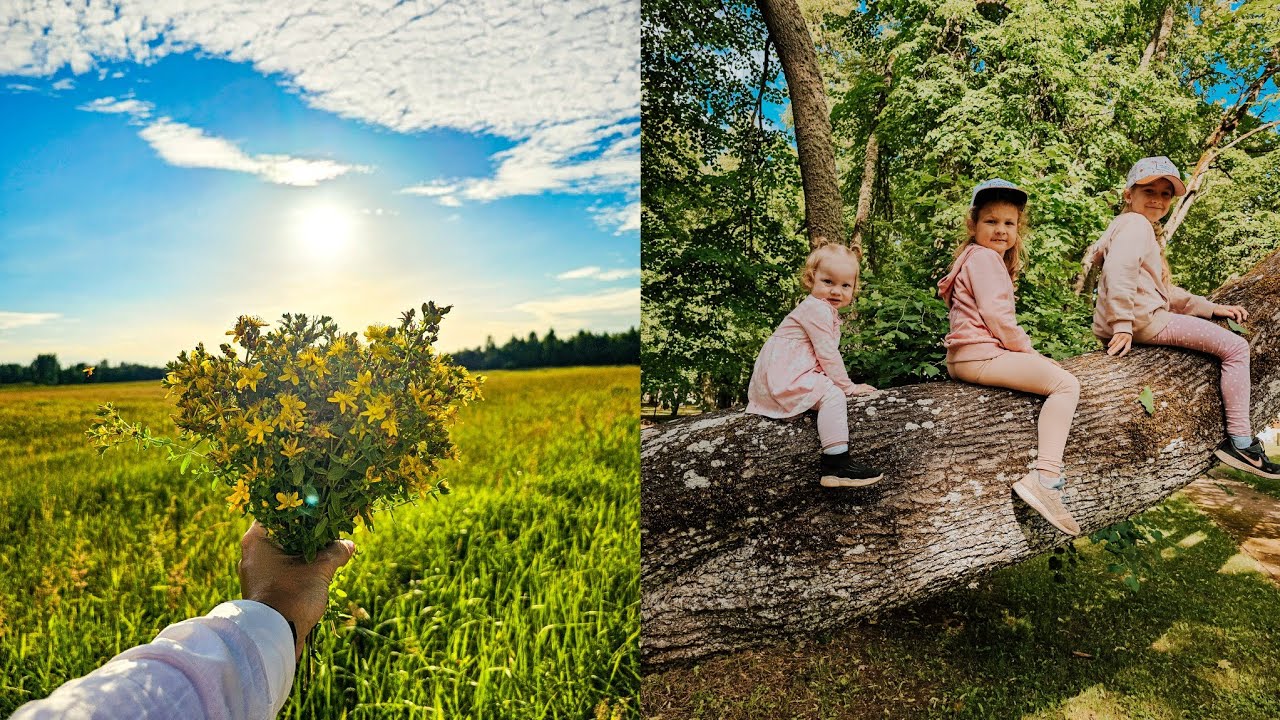 Käisin ema sünnipäeval ja asjatame maja juures 🏡