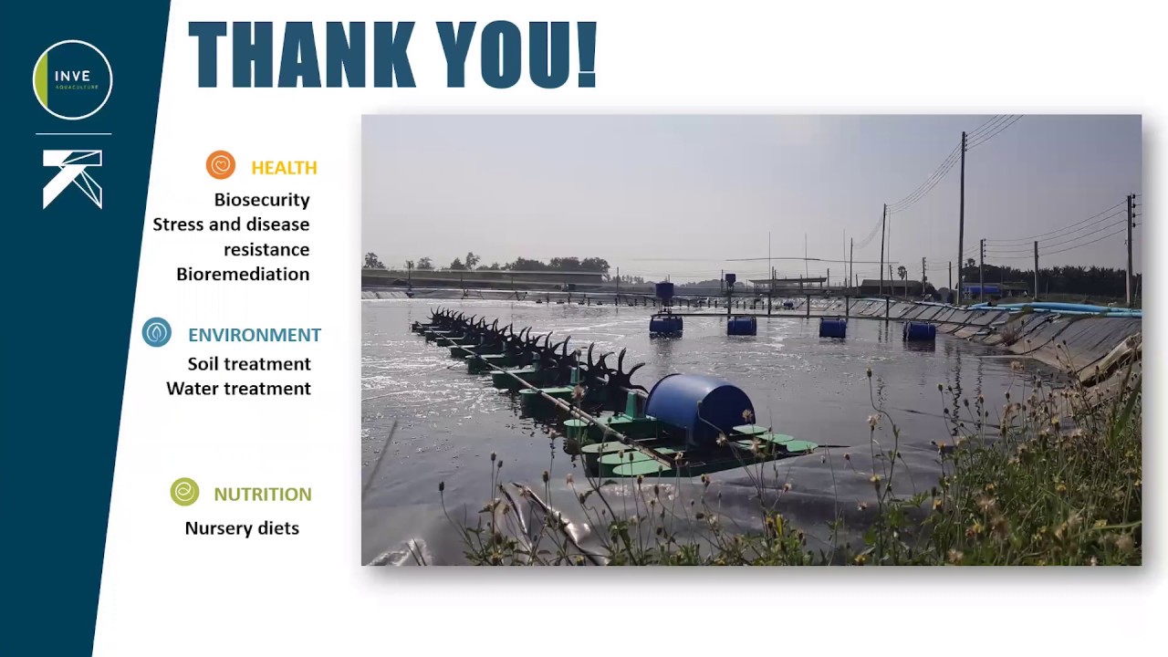 Approach to Shrimp Farming