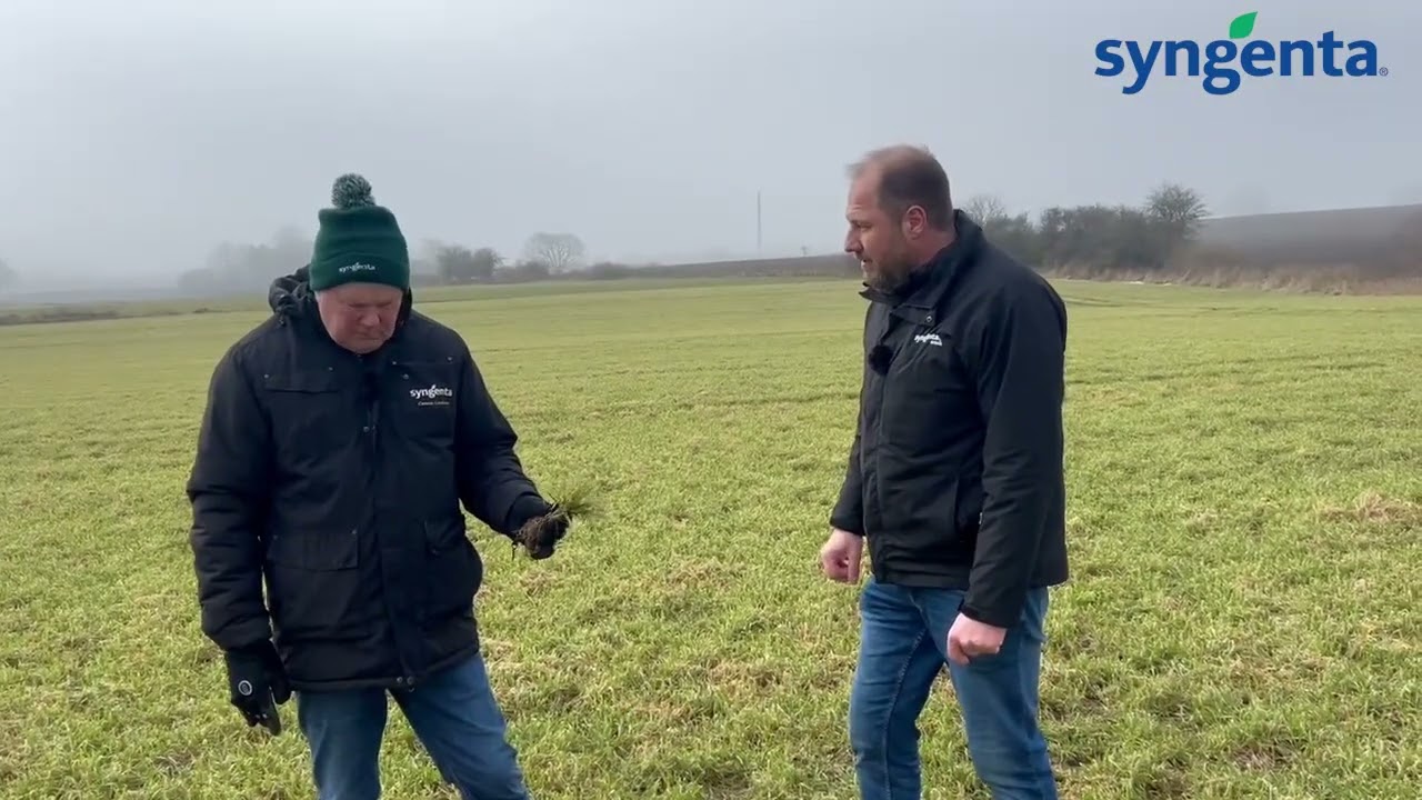 Mark Snak - Sne, kulde og stærke sorter: Se hvordan hvedemarkerne klarede vinteren!