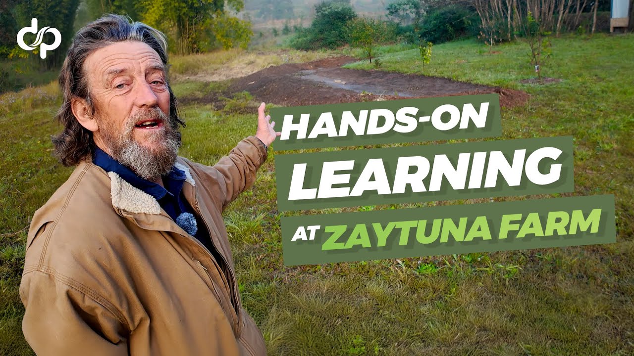 Hands-on Learning at Zaytuna Farm