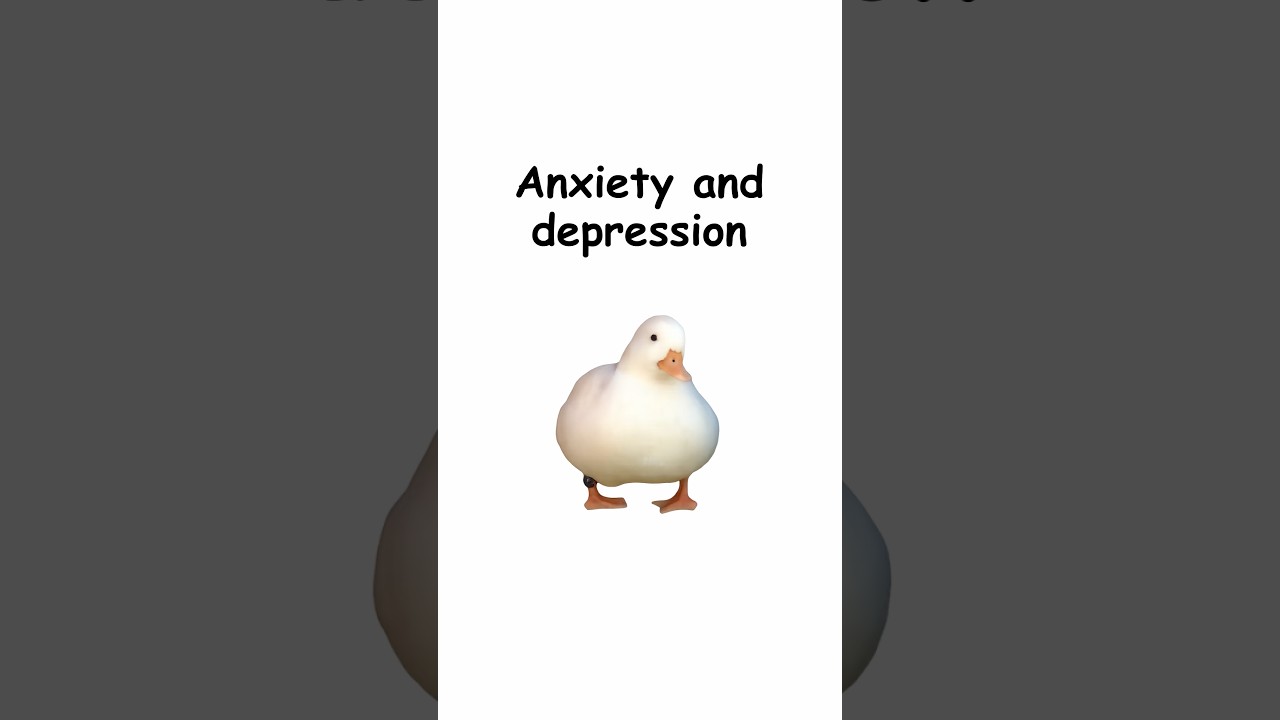 Anxiety and Depression (explained by ducks)
