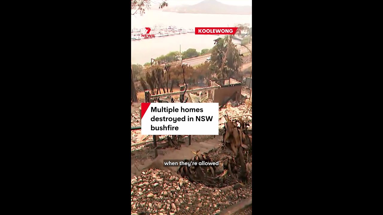 Multiple homes destroyed in NSW bushfire