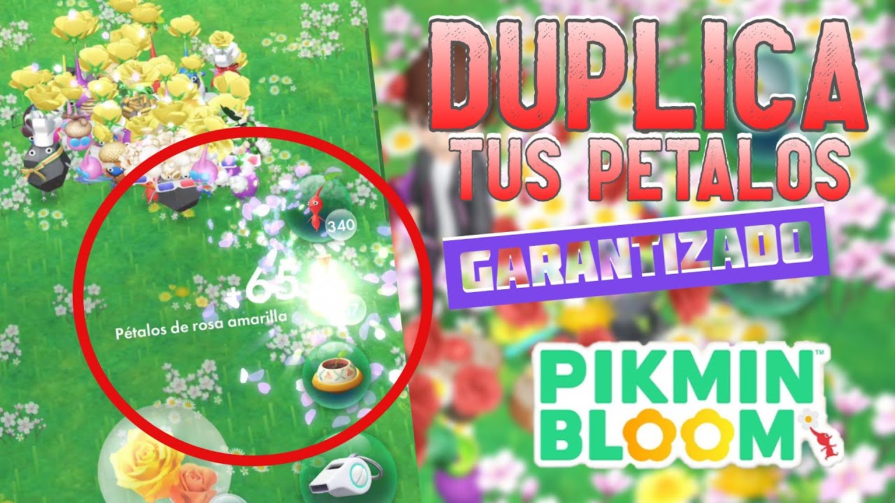 Obt&eacute;n DOBLES P&Eacute;TALOS GARANTIZADOS con una gota de N&Eacute;CTAR en Pikmin Bloom