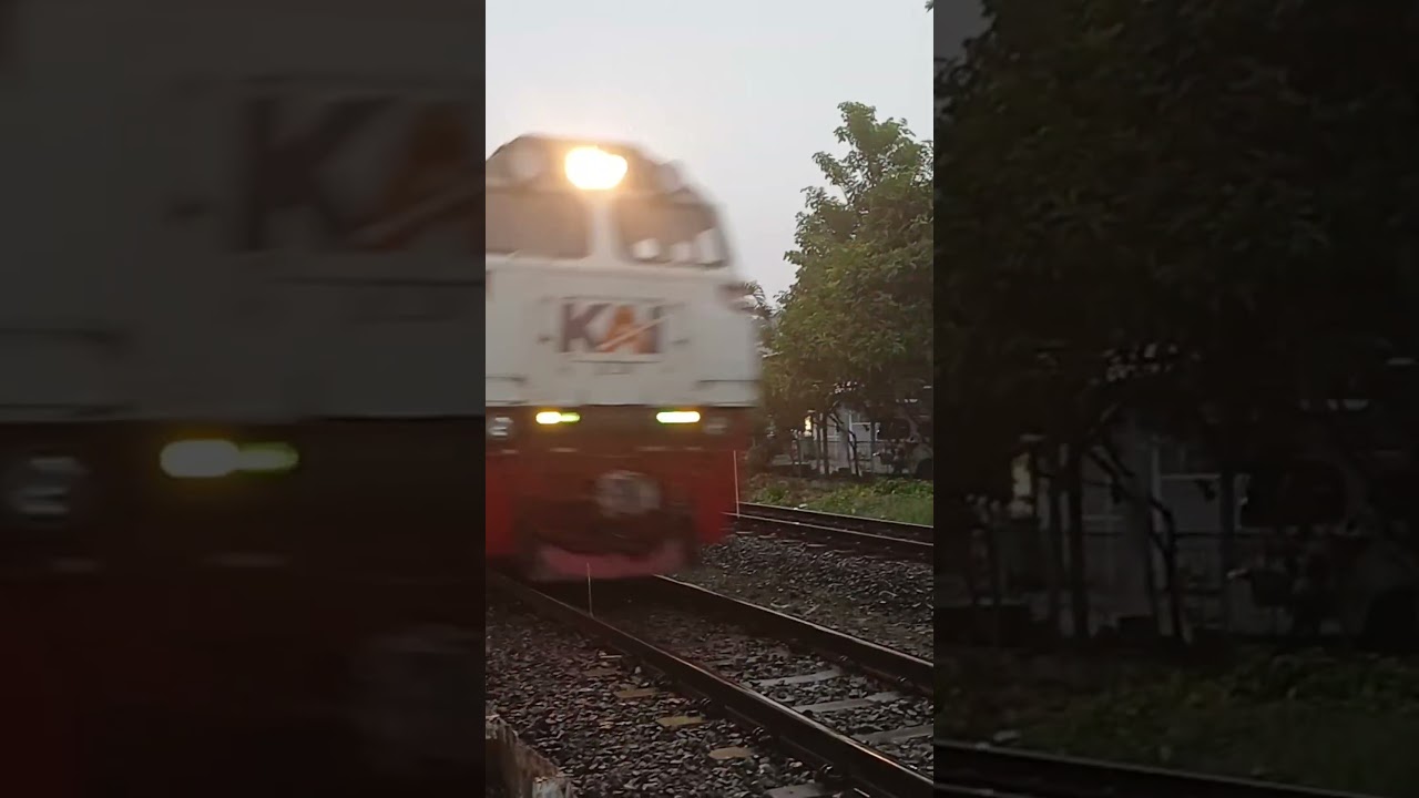 ka motis selatan dan ka turangga #shorts