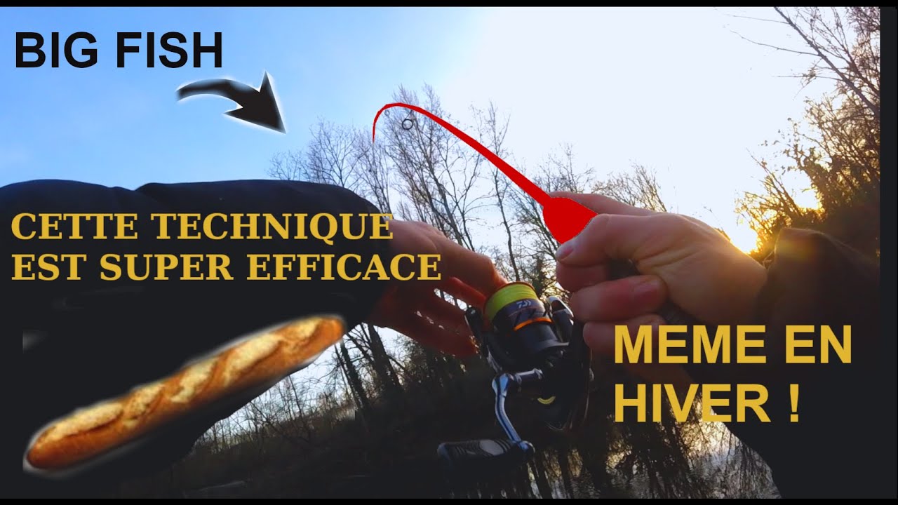 cette TECHNIQUE est REDOUTABLE pendant L'HIVER / p&ecirc;che du chevesne