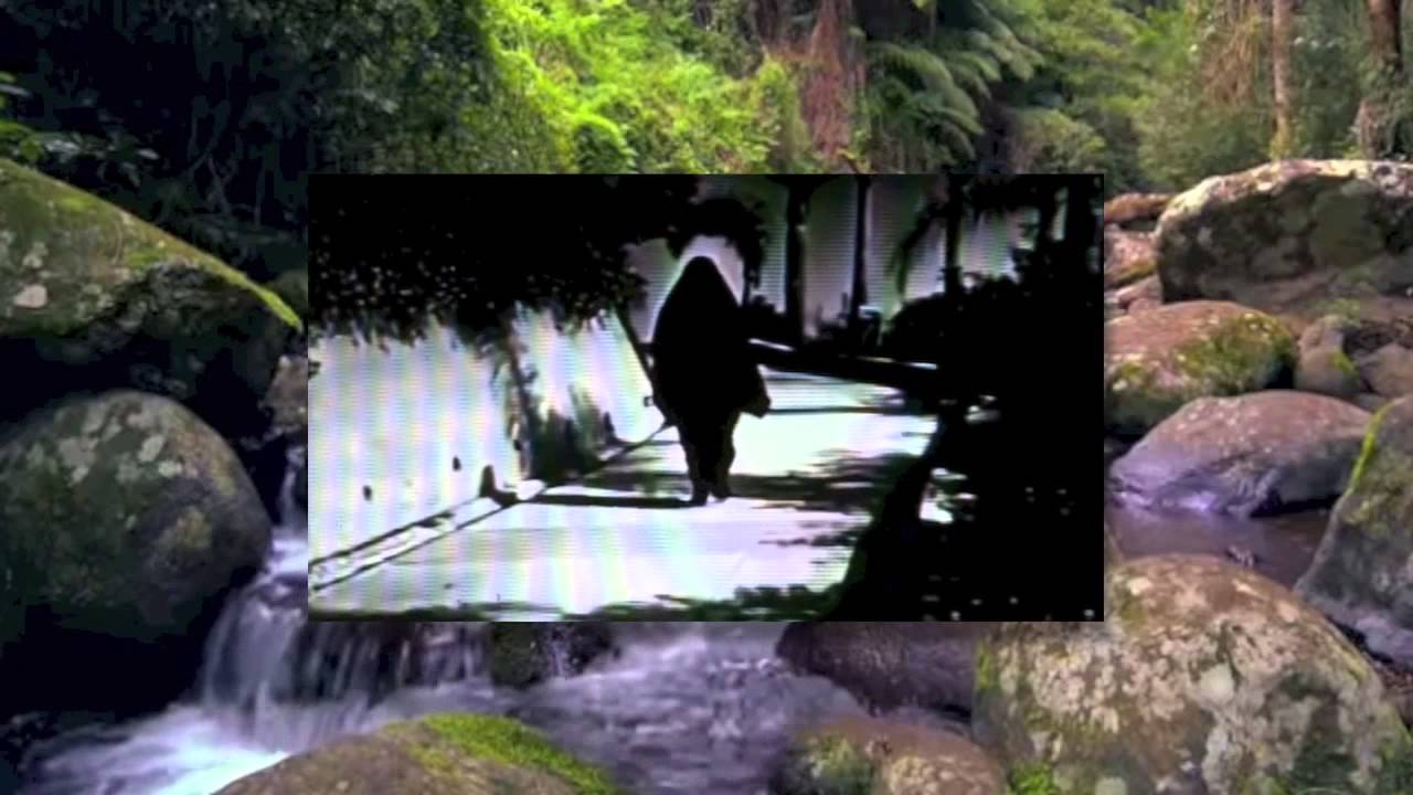 CHRSBRRY - Please,StayALittleLonger [VISUAL]