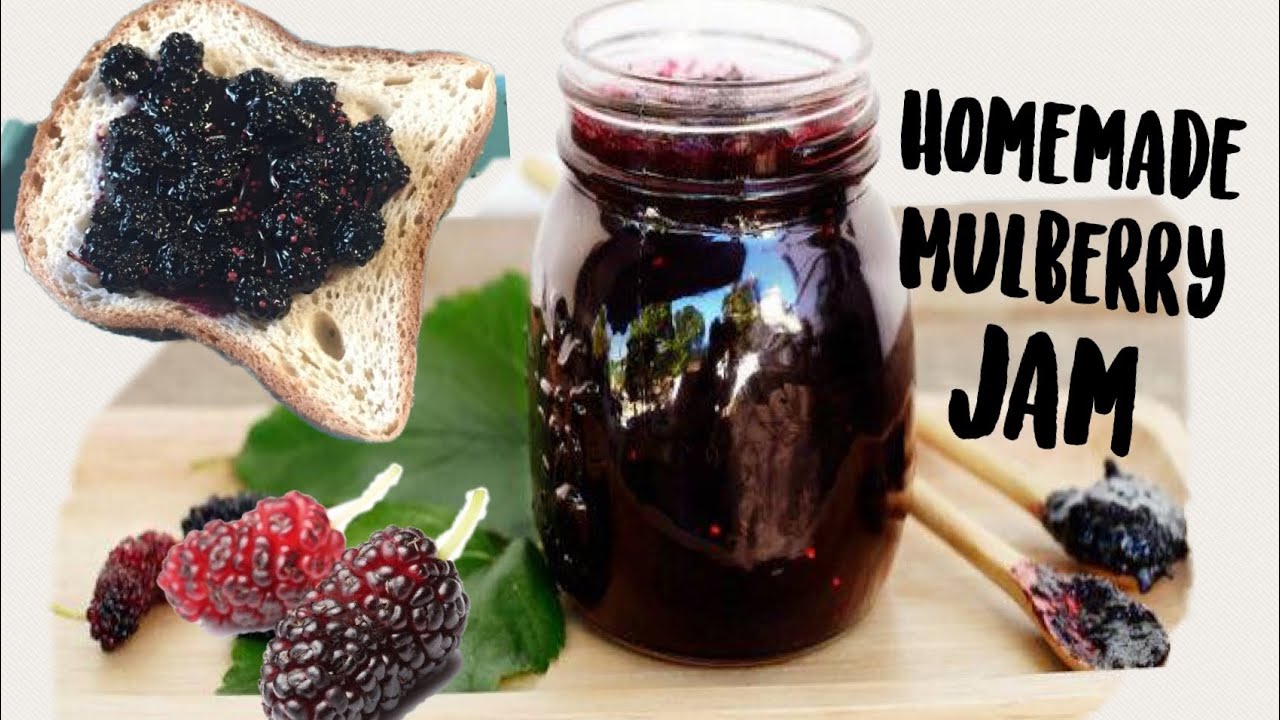 HOW TO MAKE MULBERRY JAM|| Homemade Mulberry