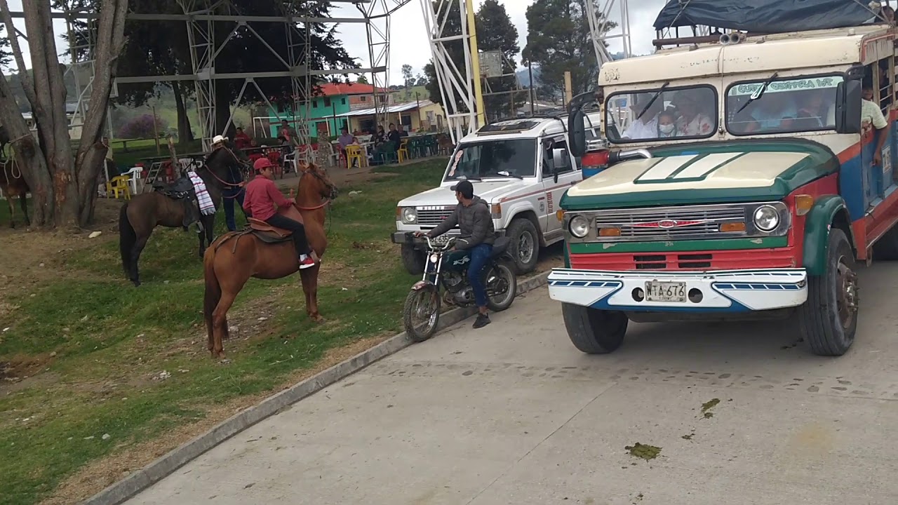 Bosque Murillo Tolima