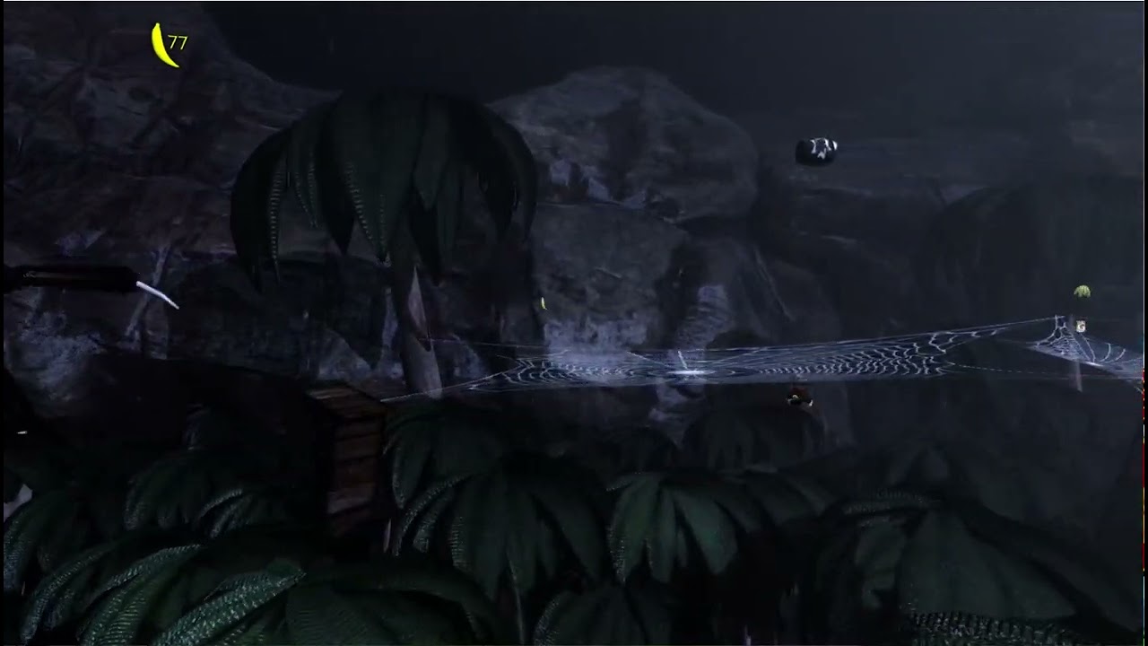 atribute to donkey kong counrty play onilne  games retro