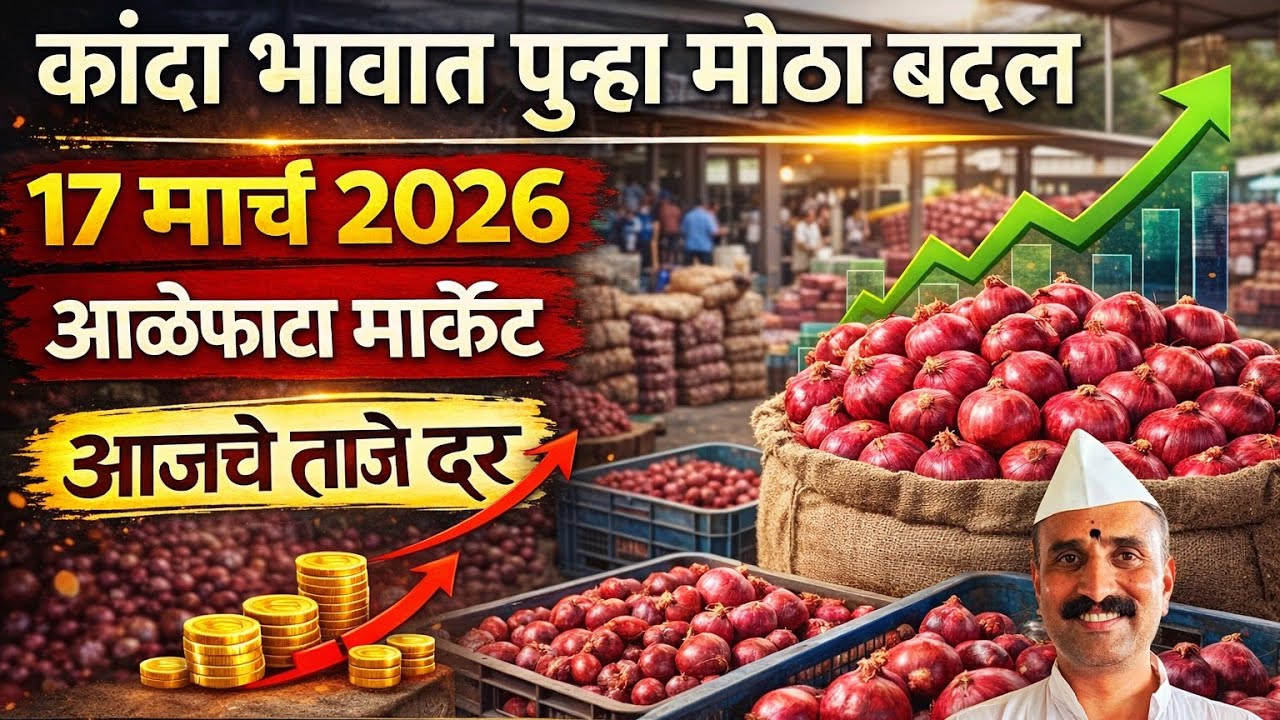 LIVE आळेफाटा नवीन कांदा मार्केट बाजार भाव #कांदा_बाजार_भाव #kandabajartoday #प्याज #pyajbhav #कांदा