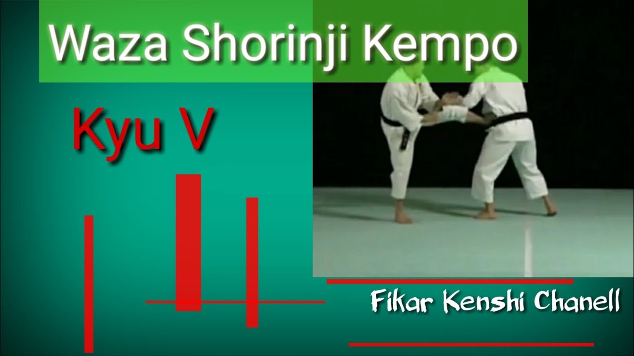Shorinji Kempo Waza (Technique) Kyu V | 少林寺拳法 ‼️