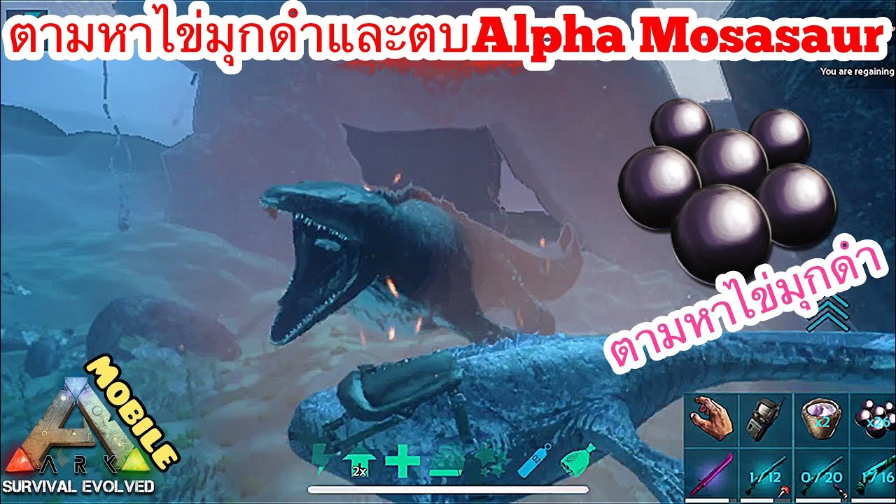 Ark Mobile มือถือ EP66 ตามหาไข่มุกดำและตบอัลฟ่าโมซากัน[How To Get BLACK PEARLS & ALPHA Mosasaur]