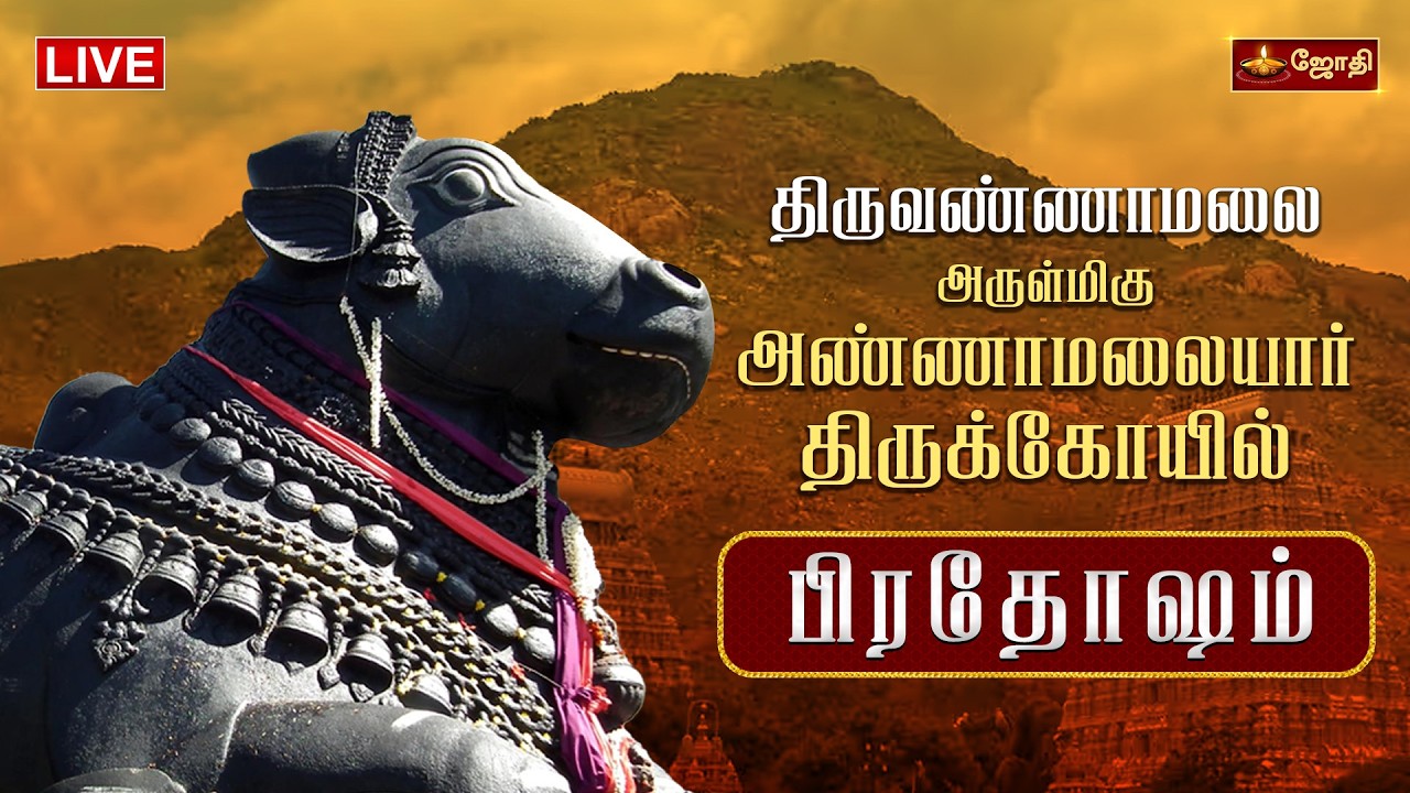 🔴LIVE:திருவண்ணாமலை ஸ்ரீ அருணாச்சலேஸ்வரர் கோயில் |  பிரதோஷம் வழிபாடு | Pradosham |Jothitv