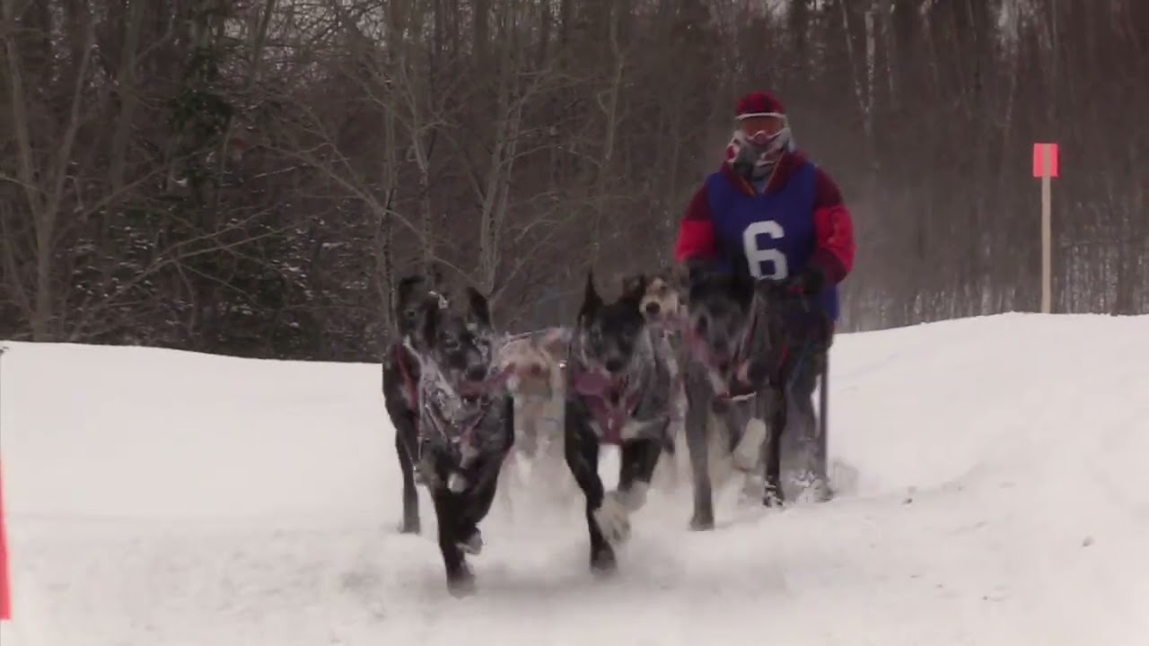 2025 Cross Lake's Annual Trapper's Festival   ( Dog Races    DAY 1)