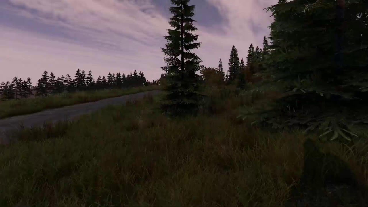Vanilla DayZ