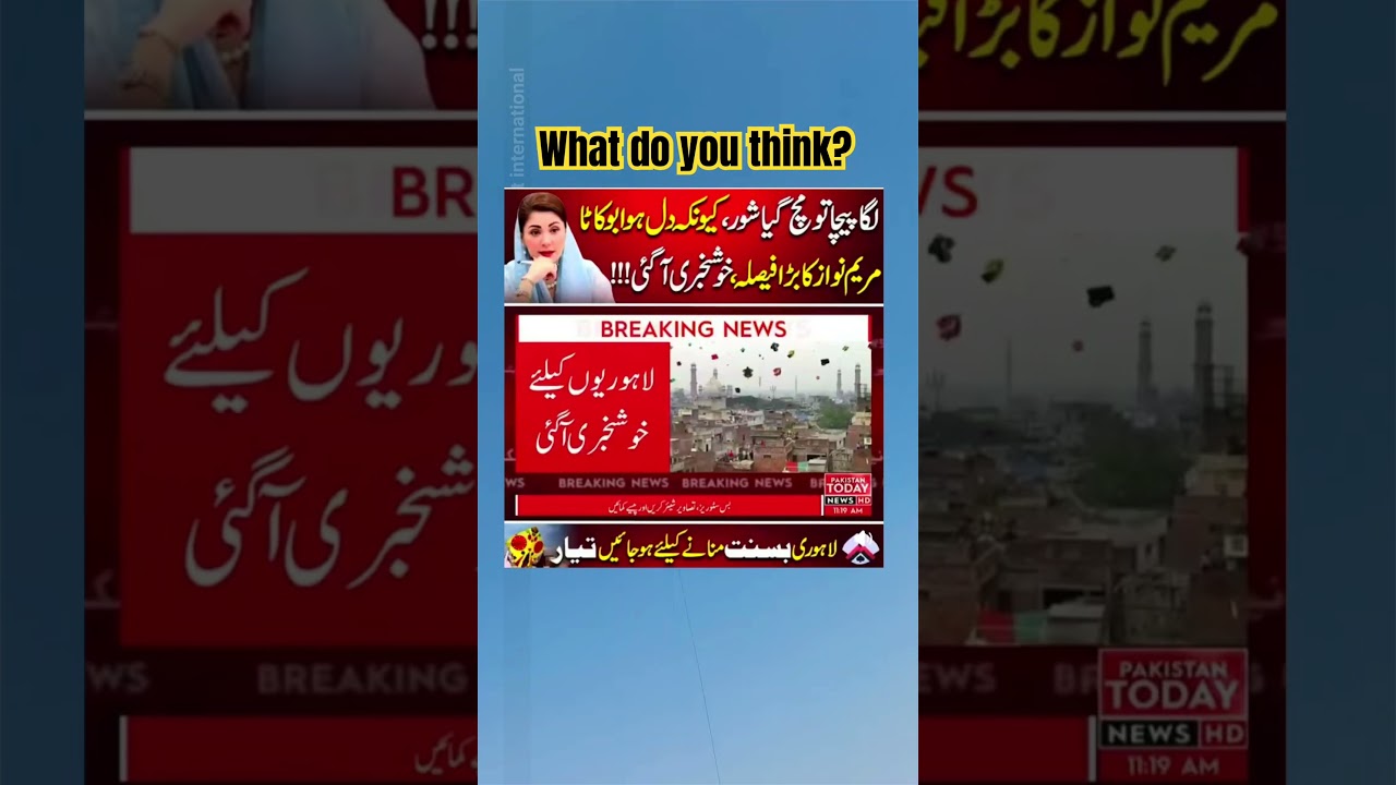 kite flying Law and Basant news update #basantinternational #kiteflying #kiteday