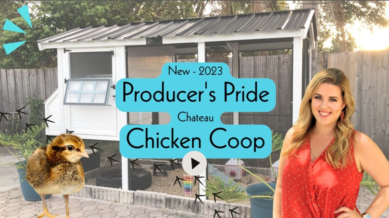 NEW Producer's Pride Chicken Coop | Install and Review - Could this be your next coop?