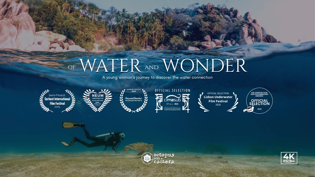 Of Water and Wonder - Discovering the ocean connection - 4K