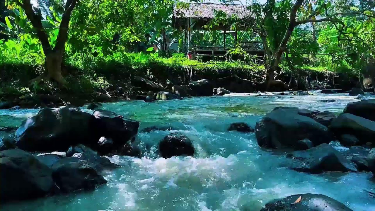 Relaxing River Flow with Birds Chirping for Focus and Sleep