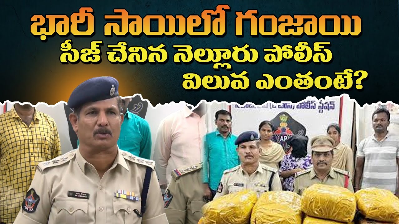 నెల్లూరులో భారీగా గంజాయి..  Nellore Ganja Case:  Nellore News | NTIMES