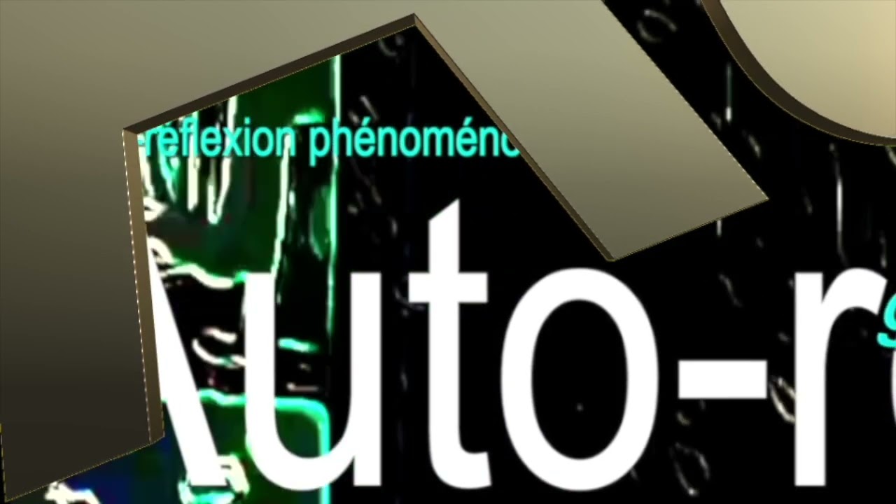 auto-r&eacute;flexion