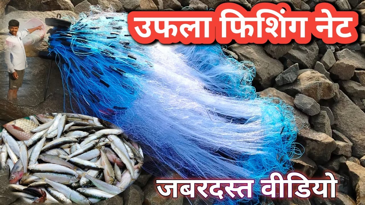 उफला फिशिंग नेट 💯 जबरदस्त फिशिंग नेट ✅ ufala fishing net 😱 jabardast fishing net #DHURWEY_VLOGS