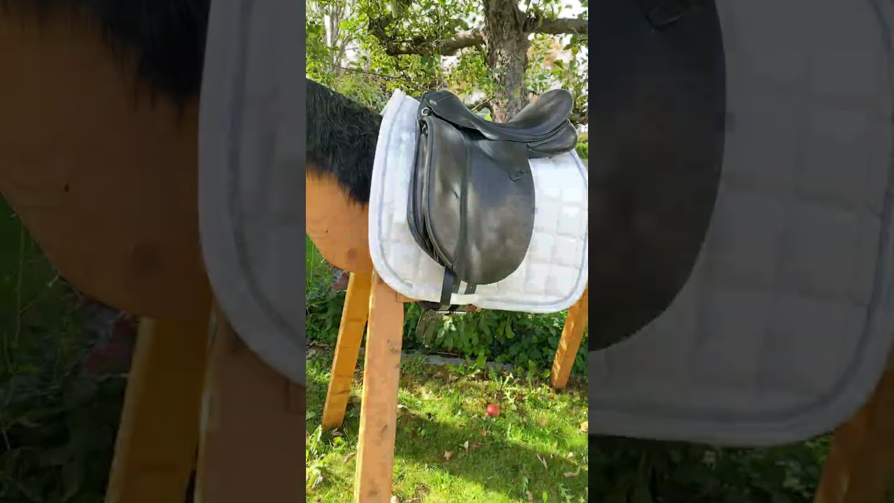 Holzpferd Video 🎉🥳🐴 #конныйспорт #лошадь #holzpferd #новоевидео #вирусный #шорты