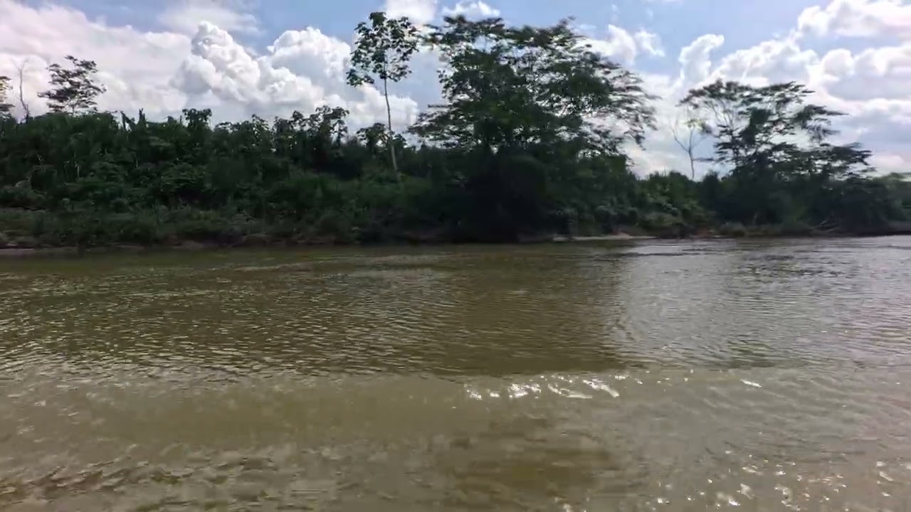 Dieta de Ayahuasca en Pucallpa Perú: Trueno, Jaguar, Cielo y Yopohuasca (21 Días)